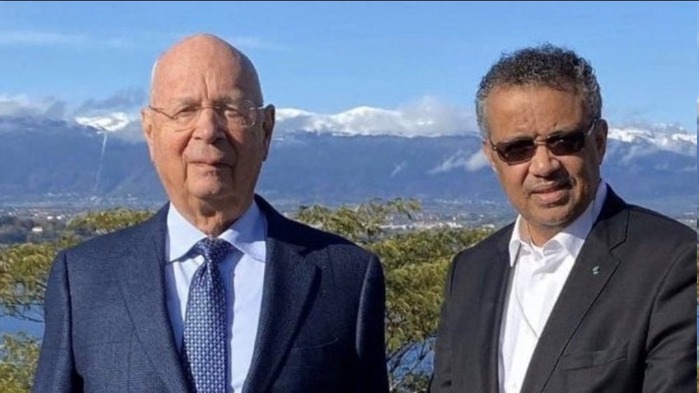 Sonja P 🇨🇦 tweet media