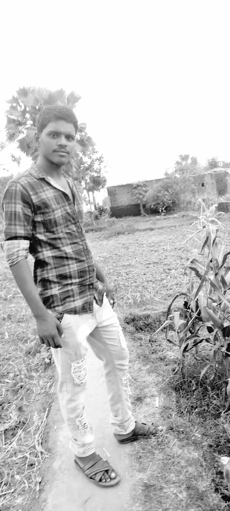 Kumar Dharmveer Raja Pas (@dharmveer_pas) on Twitter photo 