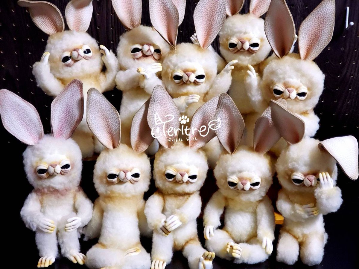 国内作家様 テリトルドール様 ナニモノ アートドール 国内作家様 テ