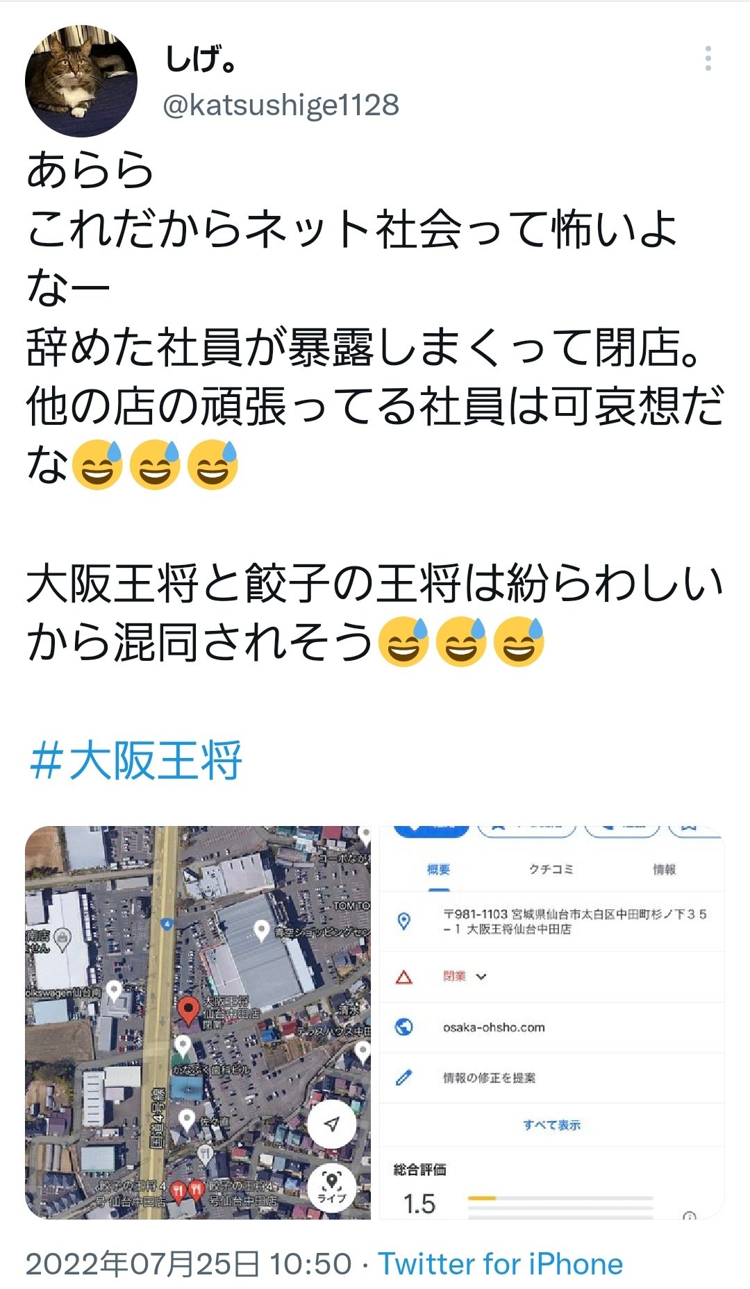 活動歴および当時の関連ビジュアル記録