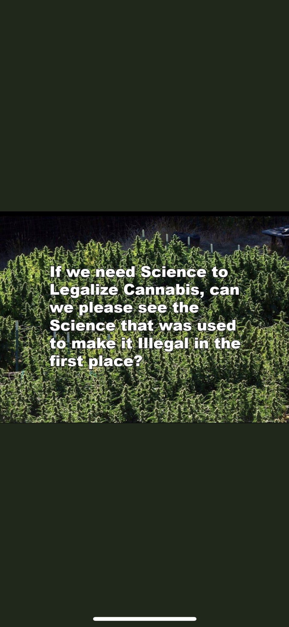 kunekune on Twitter: "@PieterHog @TweeterReynolds @ClipGod1 @jamesreinl