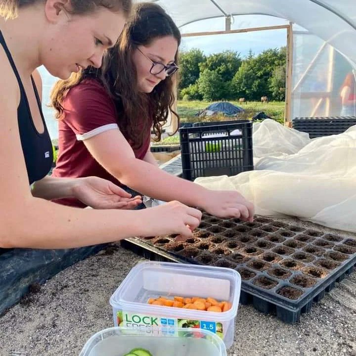 Waterford LGFA tweet media