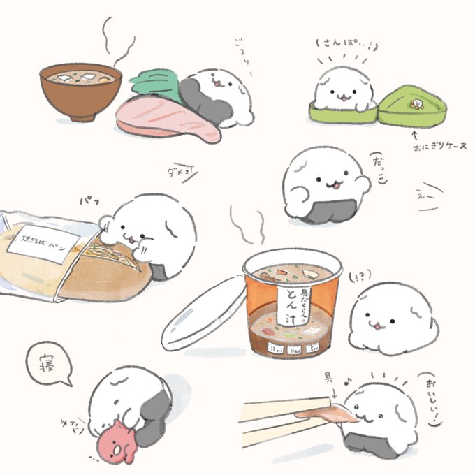 せいかつ( ᐡ ᵔᴥᵔ ᐡ )🍙 