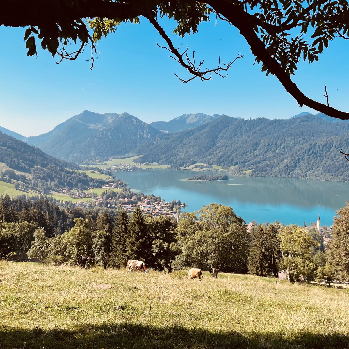 Alexander Bartelt tweet media