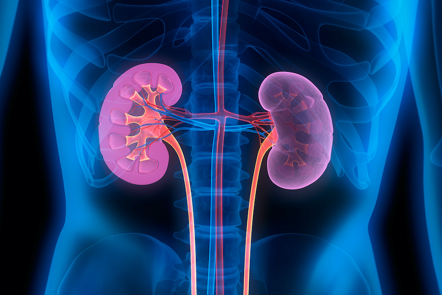 sonu_monika's tweet photo. #NHS dramatically reduces acute kidney injury,with #AI #Diagnosis #Wearables #health #telemedicine #BigData #Analytics #digitalhealth #IoT #PyTorch #Python #TensorFlow #flutter #Serverless #Java #100DaysOfCode #JavaScript #BOT #programming #Cloud #VR #publichealth #healthTech https://t.co/yQcESK1F2T