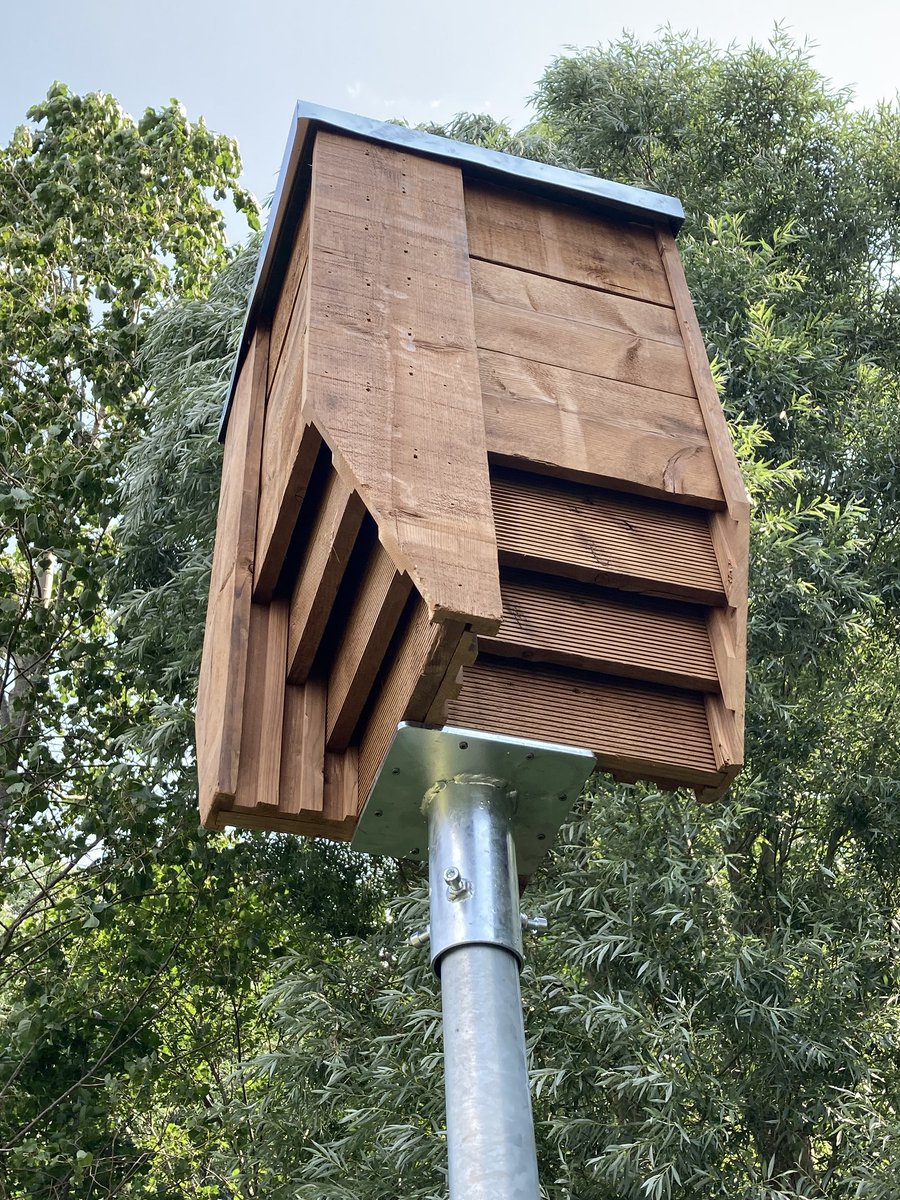 Twee verblijfkasten voor rosse- en dwergvleermuizen en een torenvalkkast verrijken de natuuroever Buitenhuizen te Assendelft. 🦇🦅 Een van de kasten staat net voorbij het kijkscherm bij de oeverzwaluwwand, waar een paartje ijsvogels is genesteld. 🐣 #NatuurlijkDichtbij