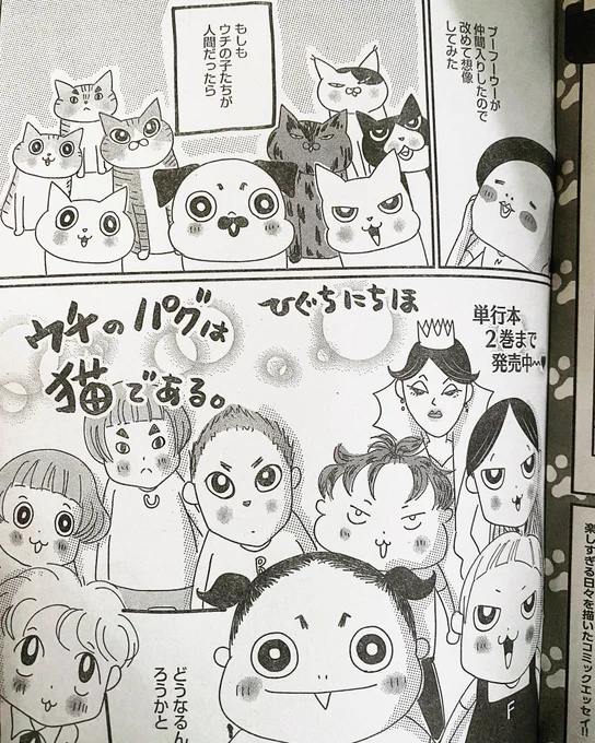 主任がゆく!スペシャル発売しておりました!
今月のウチパグはもしもウチの子たちが人間だったらシリーズ(?)ブーフーウーも仲間入りバージョンです!
よろしくお願いいたしますー! 