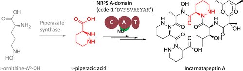 isciverse's tweet photo. Online NOW | @J_A_C_S

Free Piperazic Acid as a Precursor to Nonribosomal Peptides

@isciverse #Chemistry #ChemTwitter #scicomm #news #Technology #Tech #NewsBreak #Trending #research #AcademicTwitter #science

https://t.co/ESWUXgrFpP https://t.co/fRXpCinKs1