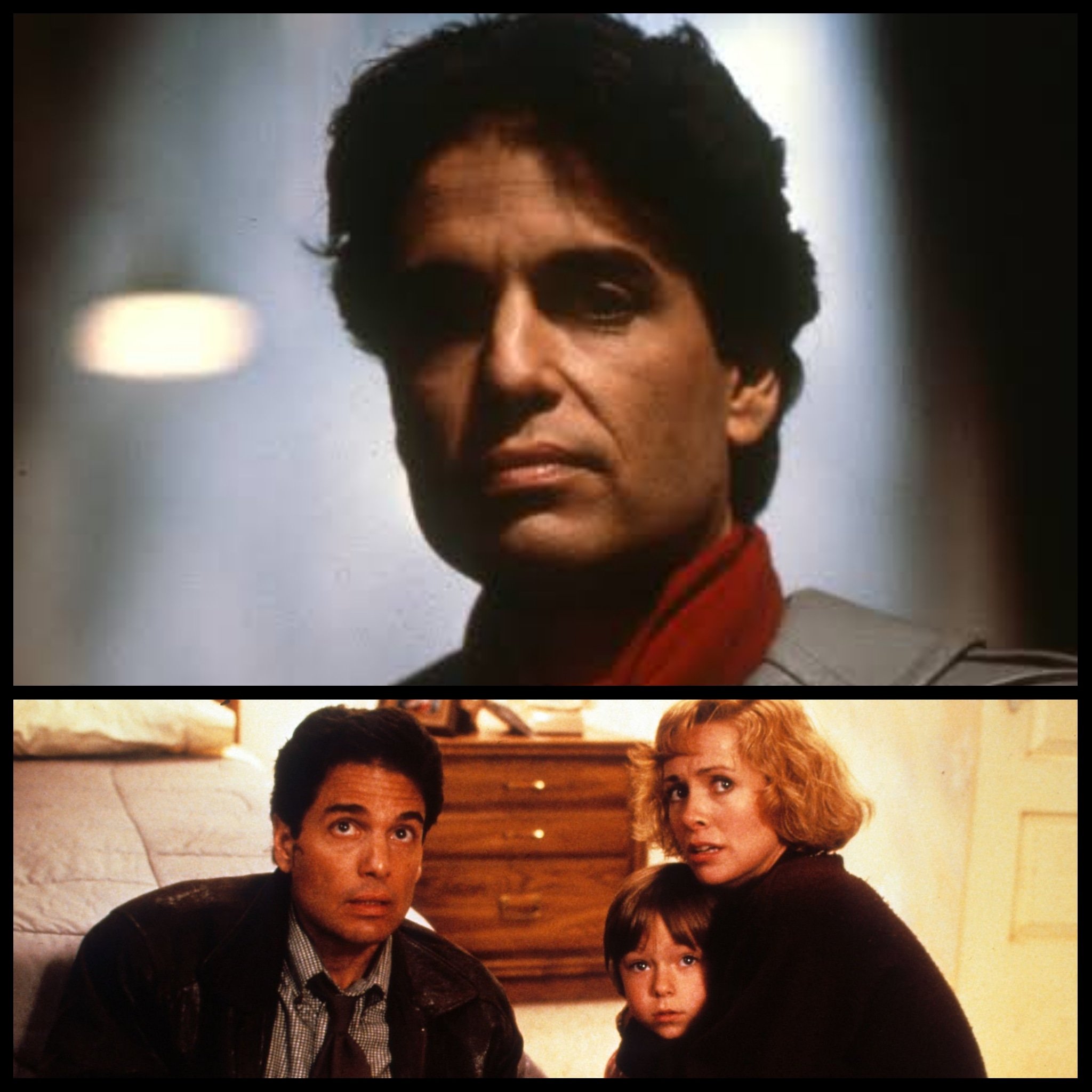 Happy 80th Birthday Chris Sarandon  