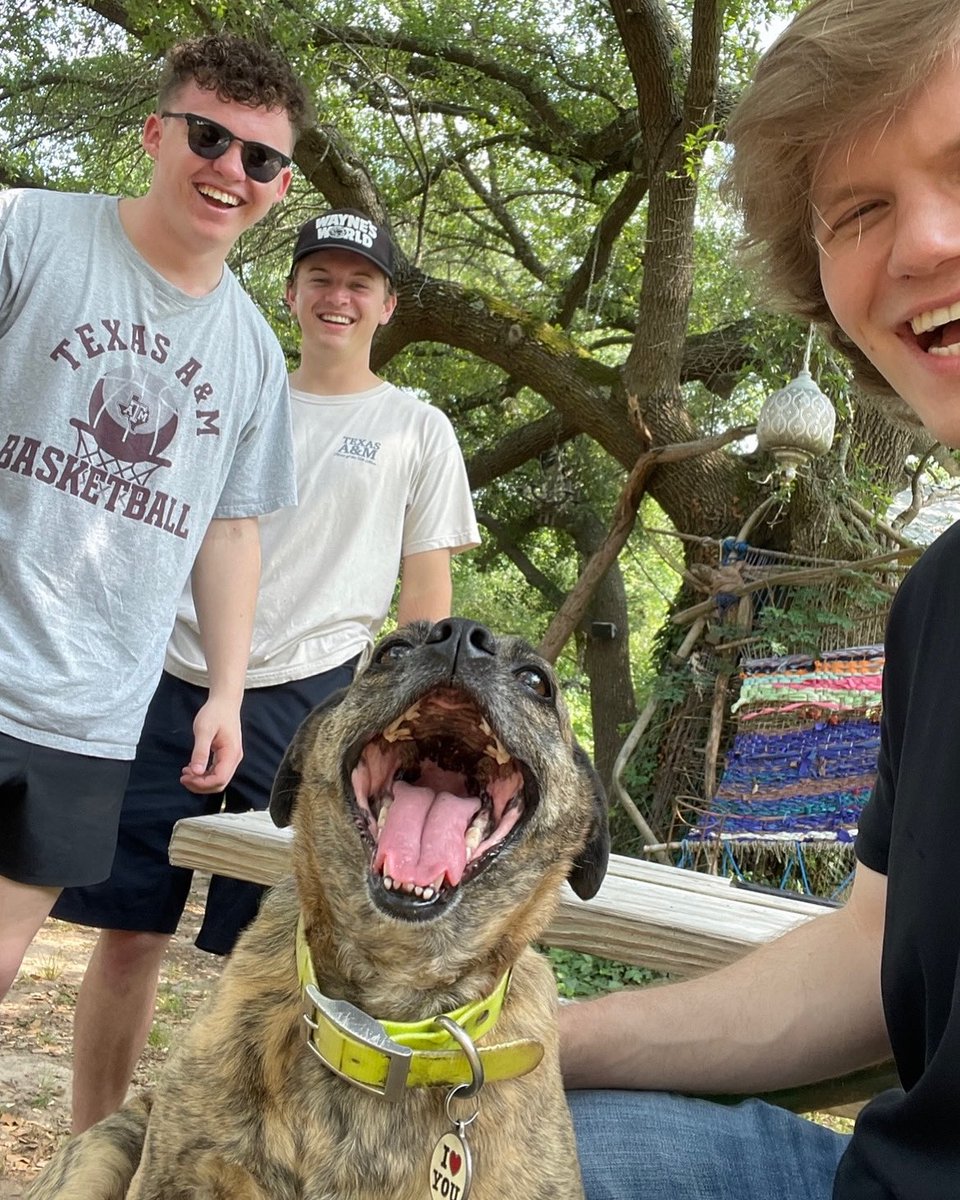 dirtybynumband's tweet photo. Ryan’s face says it all 🥰
Jokes aside… we’re moving in together this August, with hopes to thrive within a fresh new creative environment. That means more music, gigs, posts, snacks, hugs, and rock n roll. 
You still drive us crazy 😜 
Stream our music so we can make rent 💞 https://t.co/Kq0hEb3r6I