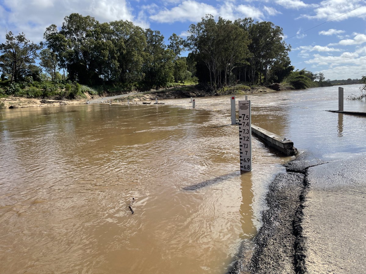 connellmarilynj's tweet photo. Sixth flood (24/7/22) so far for 2022 (3 majors, 1 moderate, 2 minor), #MaryRiver #Tiaro SEQld. Wondering impact of constant high sediment load on the #bumbreathing #turtles #MaryRiverTurtle #Elusor macrurus #Elseya albagula. https://t.co/B8586dCS04
