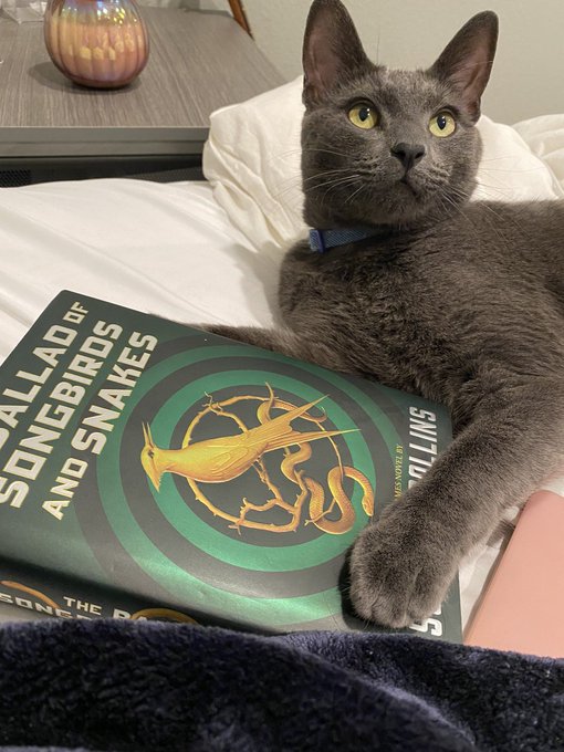 someone&rsquo;s been doing some reading&hellip; https://t.co/dFBn7JD4KF<a href="/tag/thehungergames"class="tags"><span>#thehungergames</span></a><a href="/tag/theballadofsongbirdsandsnake"class="tags"><span>#theballadofsongbirdsandsnake</span></a>
