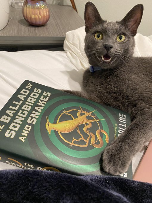someone&rsquo;s been doing some reading&hellip; https://t.co/dFBn7JD4KF<a href="/tag/thehungergames"class="tags"><span>#thehungergames</span></a><a href="/tag/theballadofsongbirdsandsnake"class="tags"><span>#theballadofsongbirdsandsnake</span></a>