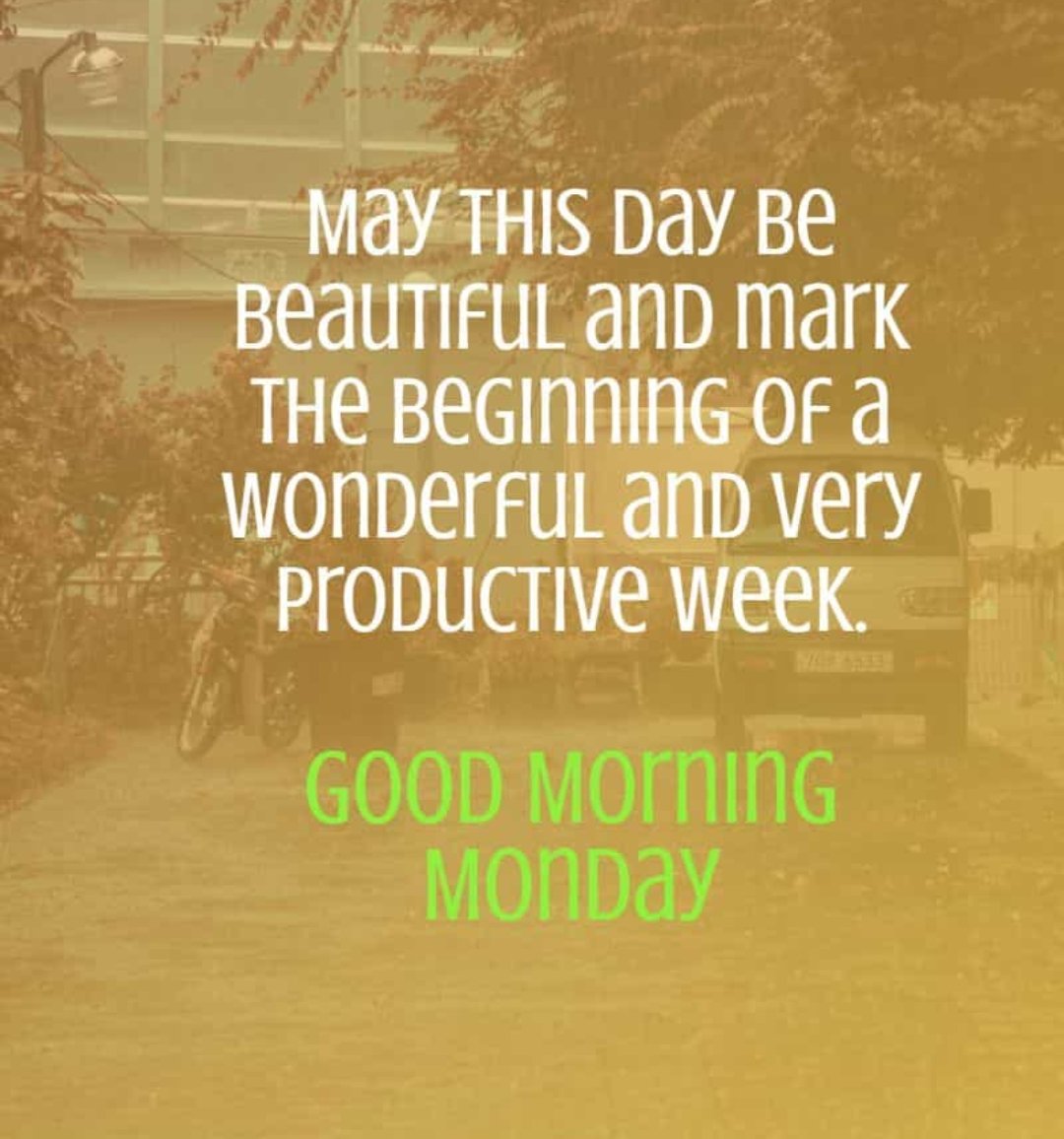 Top of the morning to you all ❤️
The secret of getting ahead is getting started.
Monday morning 🌞
#NFTCommunity #NFTartist #nftcollector #NFTartists 
#WomeninNFTs #NFTdrop #NFTgiveway #nft #nfts
#NFTshills