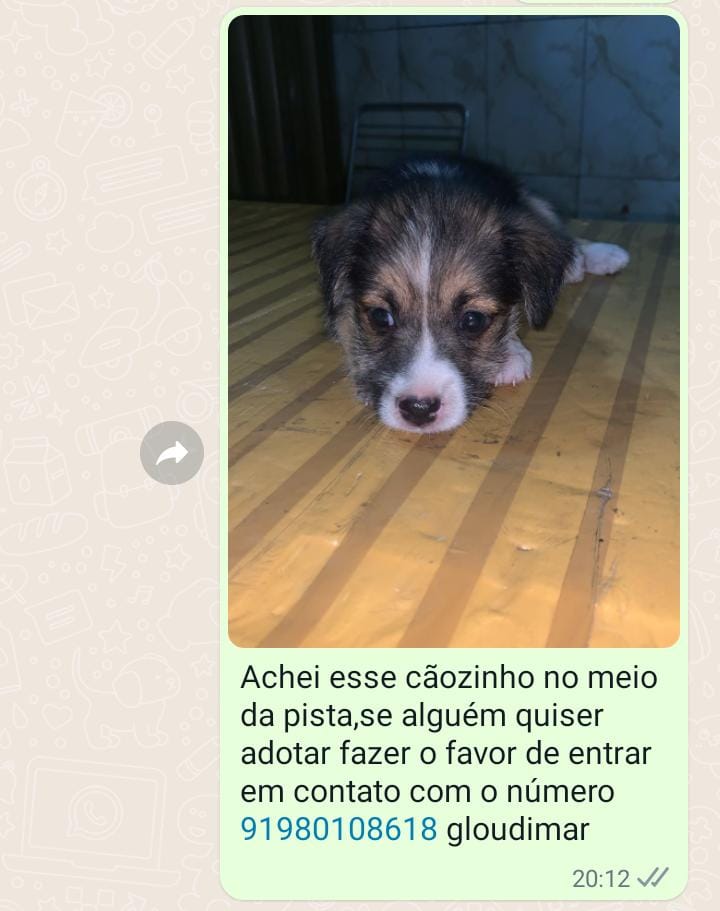 Estou a procura de uma família sou menino tem alguem aí