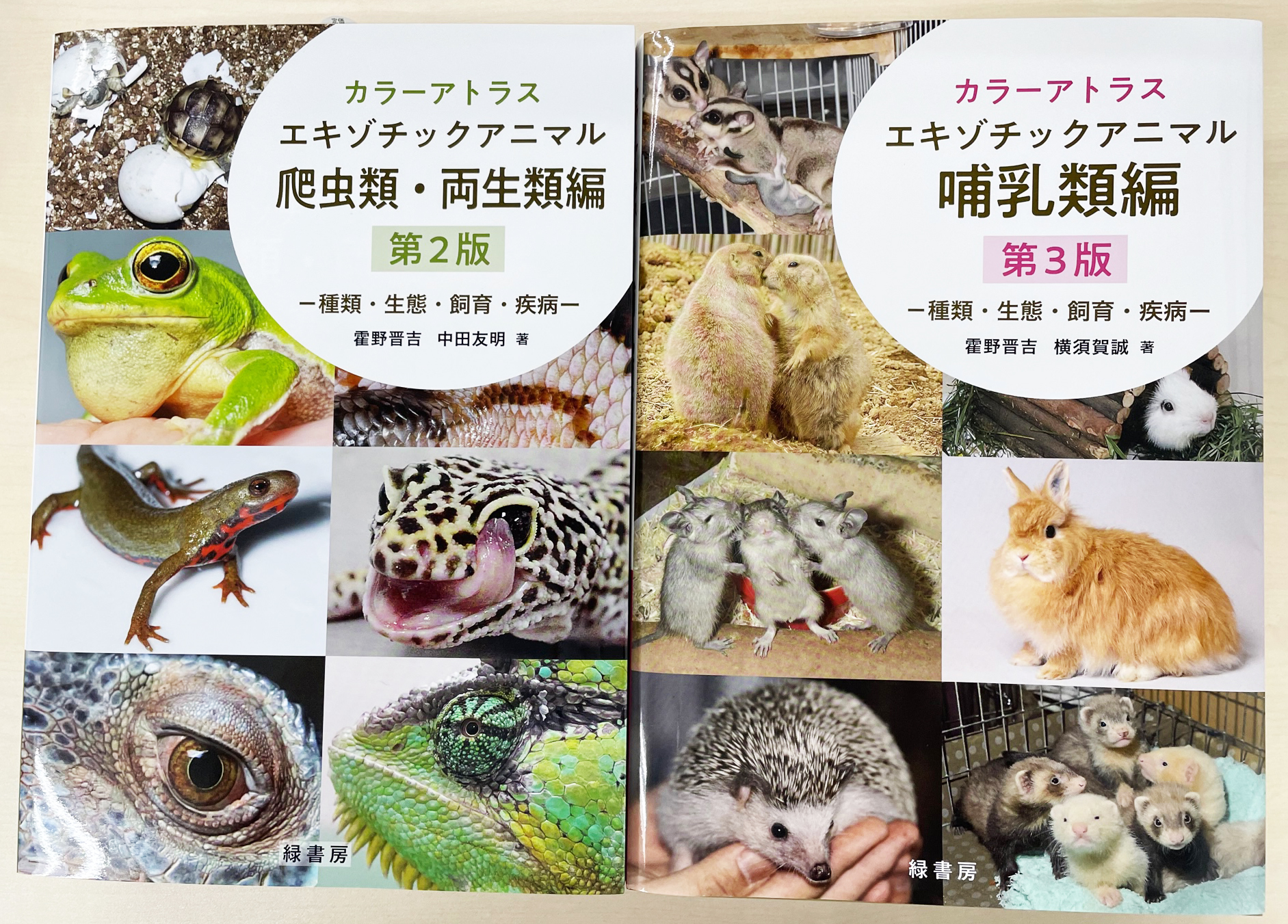 カラーアトラスエキゾチックアニマル 爬虫類・両生類編 | 霍野