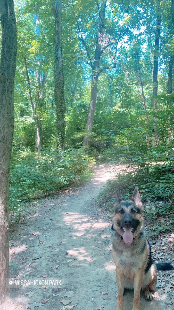 Sam Olafson tweet media