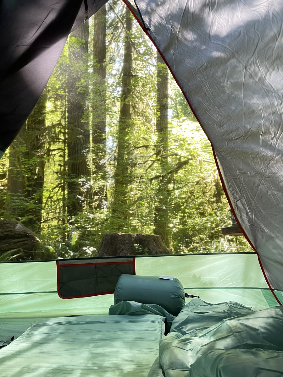 SimoneWu5's tweet photo. Camping Season! 🏕 https://t.co/9jGH5ZB4Fi