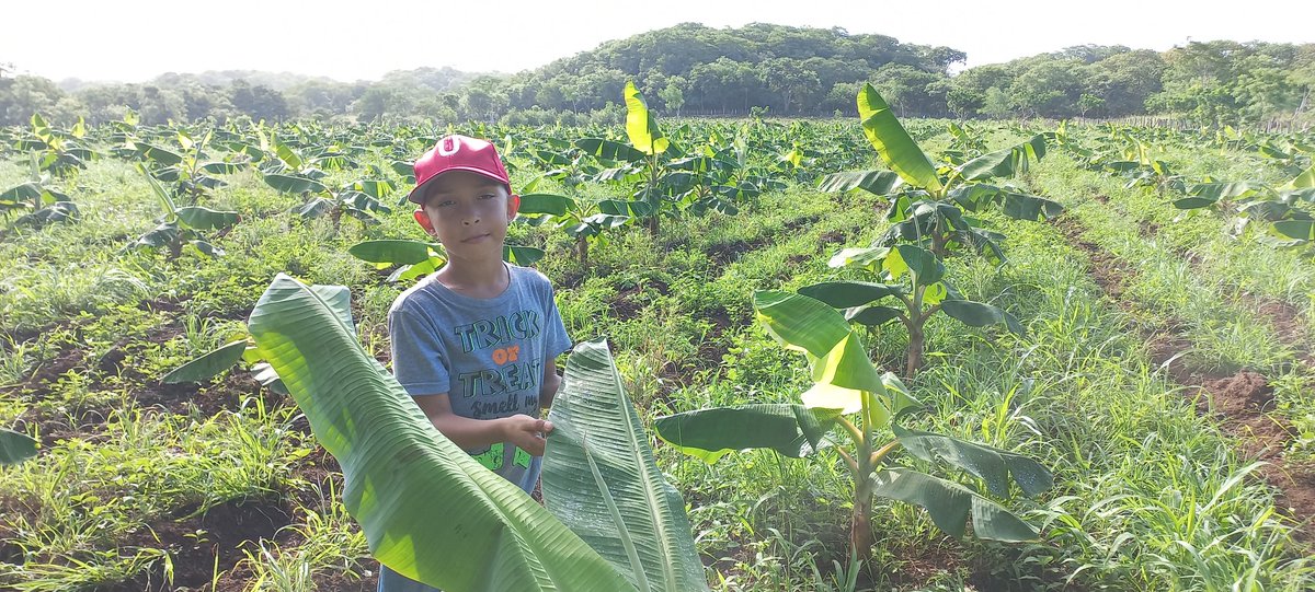 Hoy estuvimos de campo.