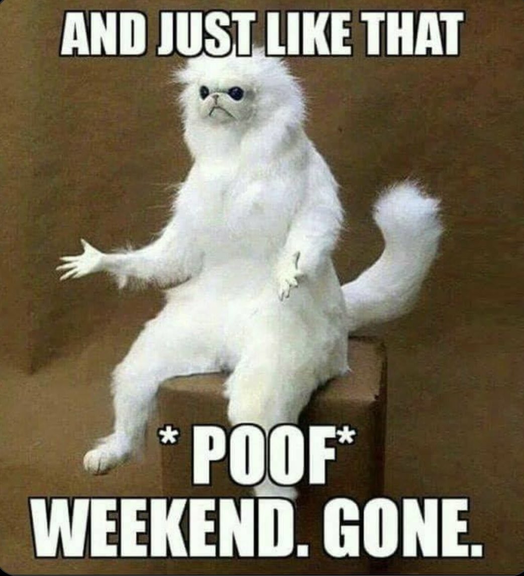 Rotaract_3142's tweet photo. Happy Monday! 😂🥲
#HappyMonday #Monday #MondayBlues #Rotaract #Vamos https://t.co/YVCvJzImRx