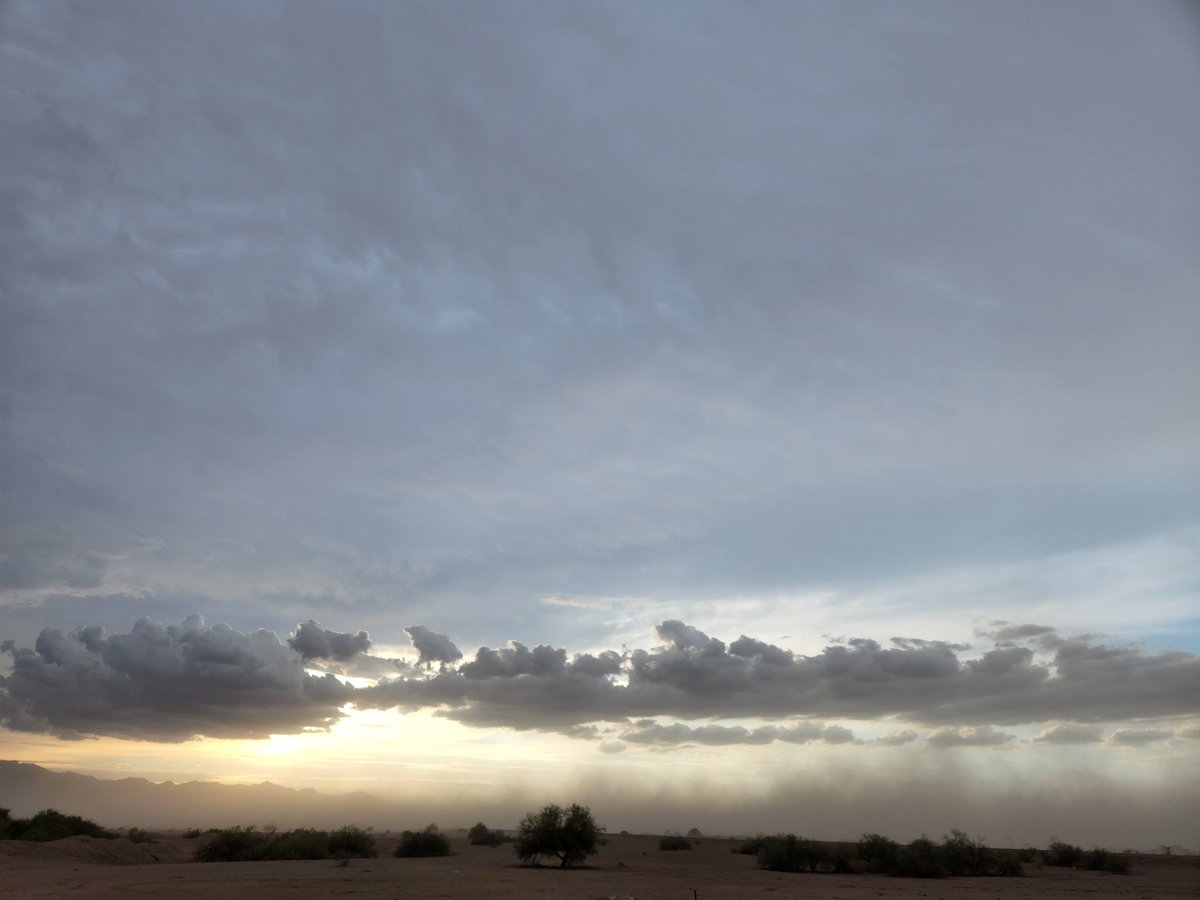 #Monsoon season in Arizona.  Rain didn't show up but the dust did. This was on the backside of a haboob near Casa Grande. #storm #chase #arizona #haboob