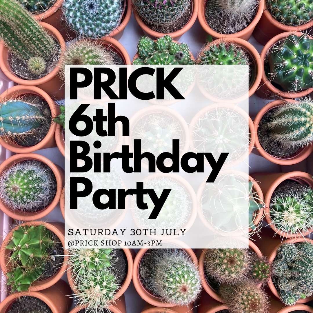 ISSA 6 YEAR CELEBRATION 🎉 
PLEASE COME CELEBRATE with us this Saturday; there will be drinks, cake, vibes, and….A MEGA SALE! Come down to shop, hang out chat or just give us a wave. 

Thank you for helping us get here it’s really all down to your support. 🌵🌵🌵🌵🌵