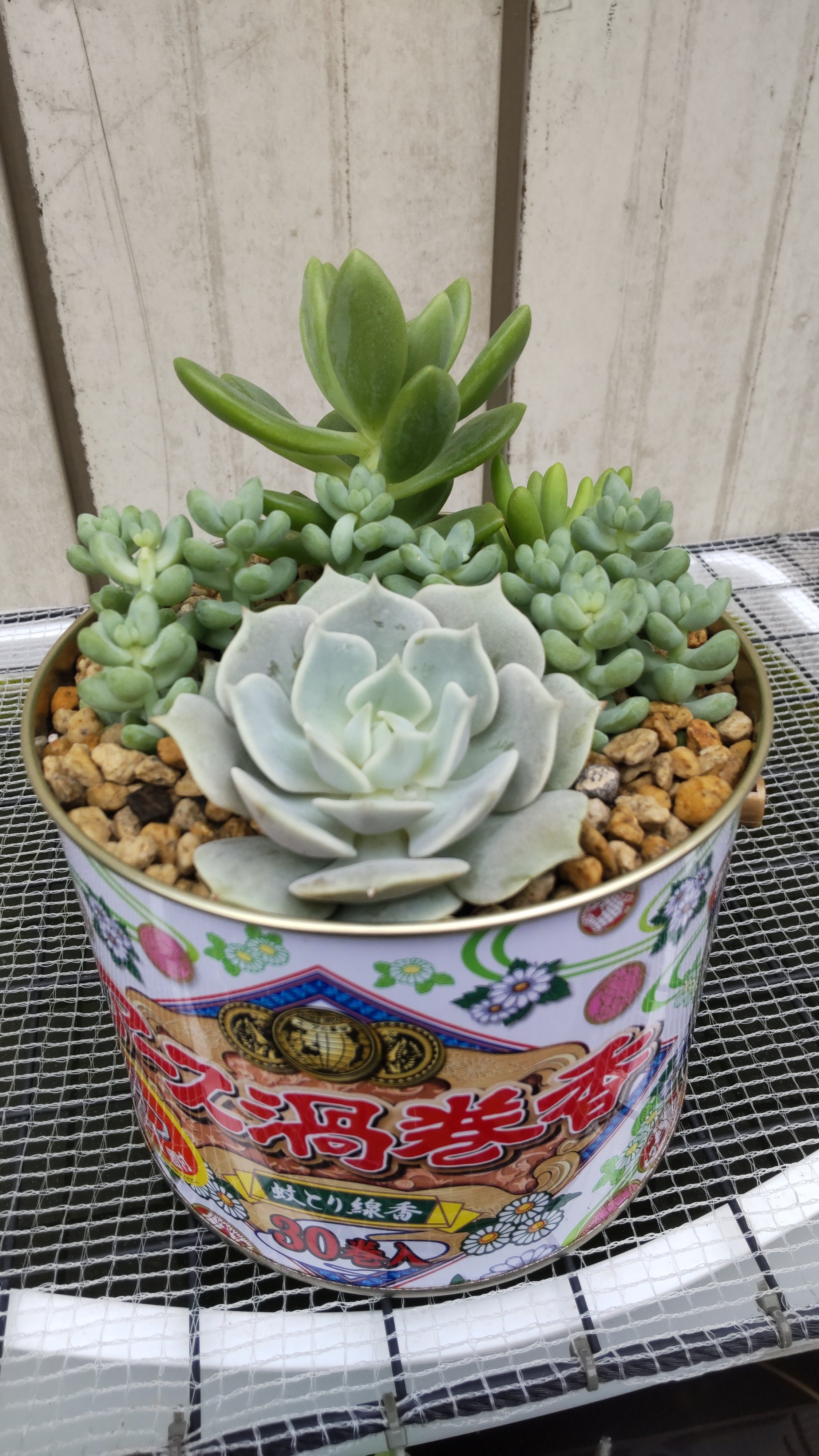 تويتر ｾﾀﾞﾑ البحث في تويتر