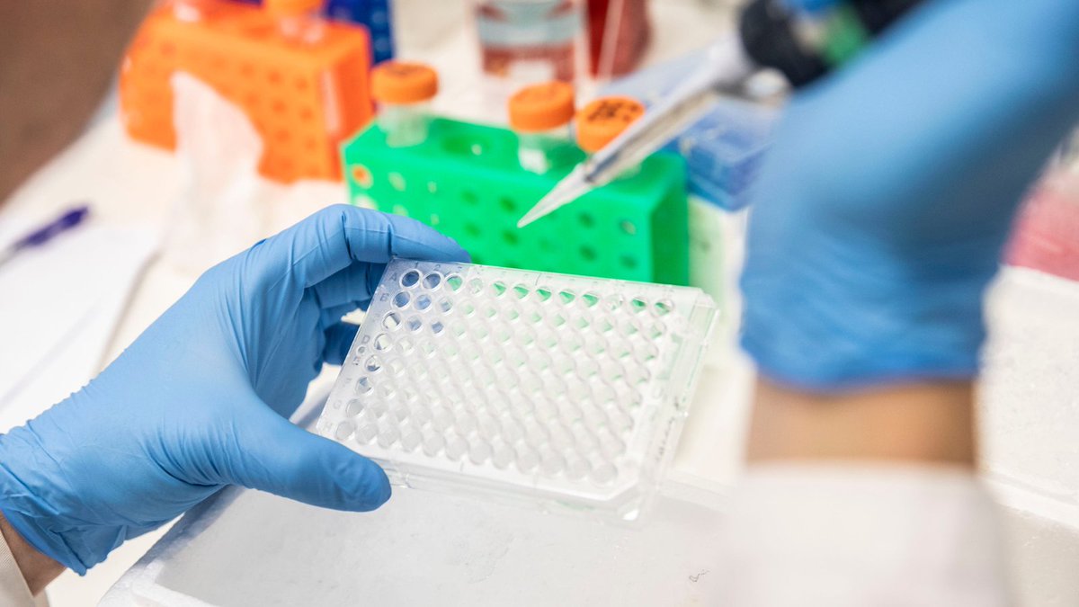 The Florey (@theflorey) on Twitter photo Congratulations to the Florey scientists who have secured $500k from #CUREator to launch the start-up <a href="/LASEREDDtx/">LASEREDD Therapeutics</a> 🎉 Led by <a href="/Danscooter/">Daniel J. Scott</a> with <a href="/cdraperjoyce/">Chris Draper-Joyce</a> and <a href="/BathgateRoss/">Ross Bathgate</a> LASEREDD will initially focus on developing better schizophrenia medicines. Read: ow.ly/xISQ50K36Ov Congratulations to the Florey scientists who have secured $500k from #CUREator to launch the start-up <a href="/LASEREDDtx/">LASEREDD Therapeutics</a> 🎉 Led by <a href="/Danscooter/">Daniel J. Scott</a> with <a href="/cdraperjoyce/">Chris Draper-Joyce</a> and <a href="/BathgateRoss/">Ross Bathgate</a> LASEREDD will initially focus on developing better schizophrenia medicines. Read: ow.ly/xISQ50K36Ov