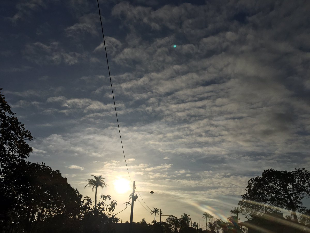___WhiteForest's tweet photo. Gm! #NFTCommunity #NFTFam #NFTs #NFTphotographers 

There’s one wrong pixel due to the sun light 😂💚 
#nofilterneeded 
It’s laundry time, huh. https://t.co/Z3tZca5PvW