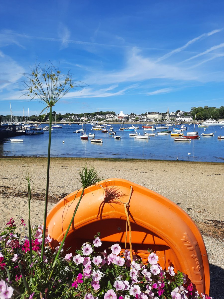 ⚓ CéLine Made In Bzh tweet media