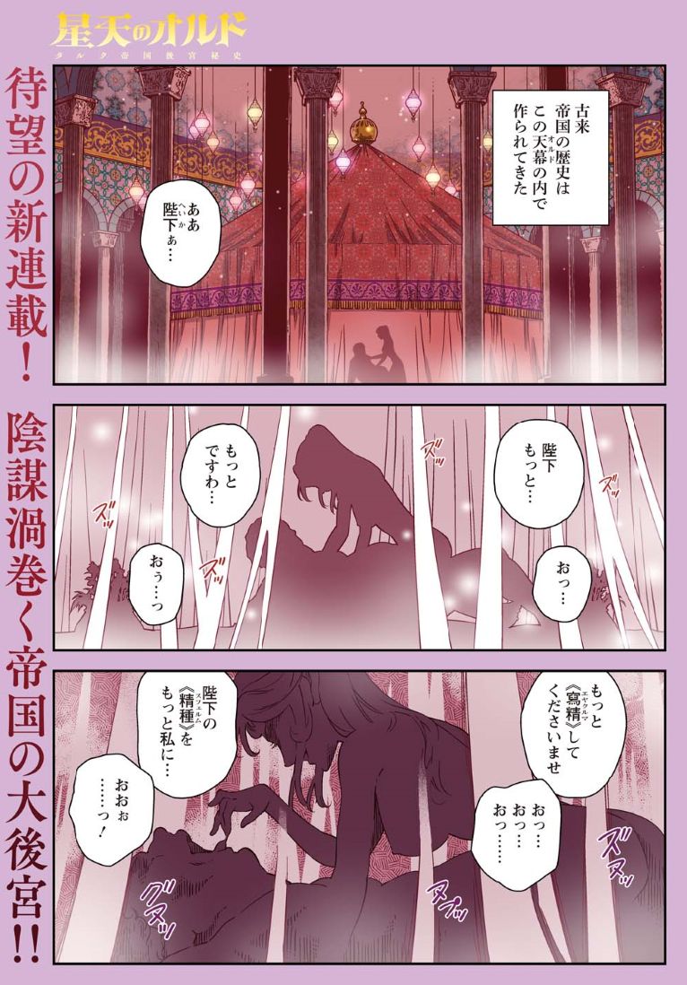 前作『乙女戦争』は史実に基づいた話でしたが、新作『星天のオルド』は架空歴史物で後宮物です。
後宮物というと中華風の作品が多いですが、今作は中東トルコ風です。主人公が後宮内の女性ではなく皇帝というのも珍しいパターンかと。
新感覚の後宮ロマンに挑戦していきます!