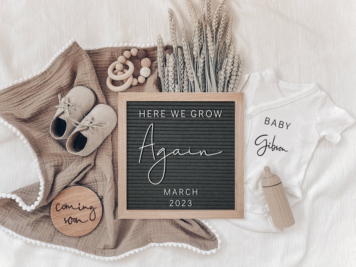 ace_high_ash's tweet photo. We are OVER THE MOON about baby number 2! Dally girl is going to be the best big sister! All she cares about is mommy having a baby, she just don’t understand where the baby is when I point to my belly 🤣💗
#twoundertwo https://t.co/yZHqPuD0w0