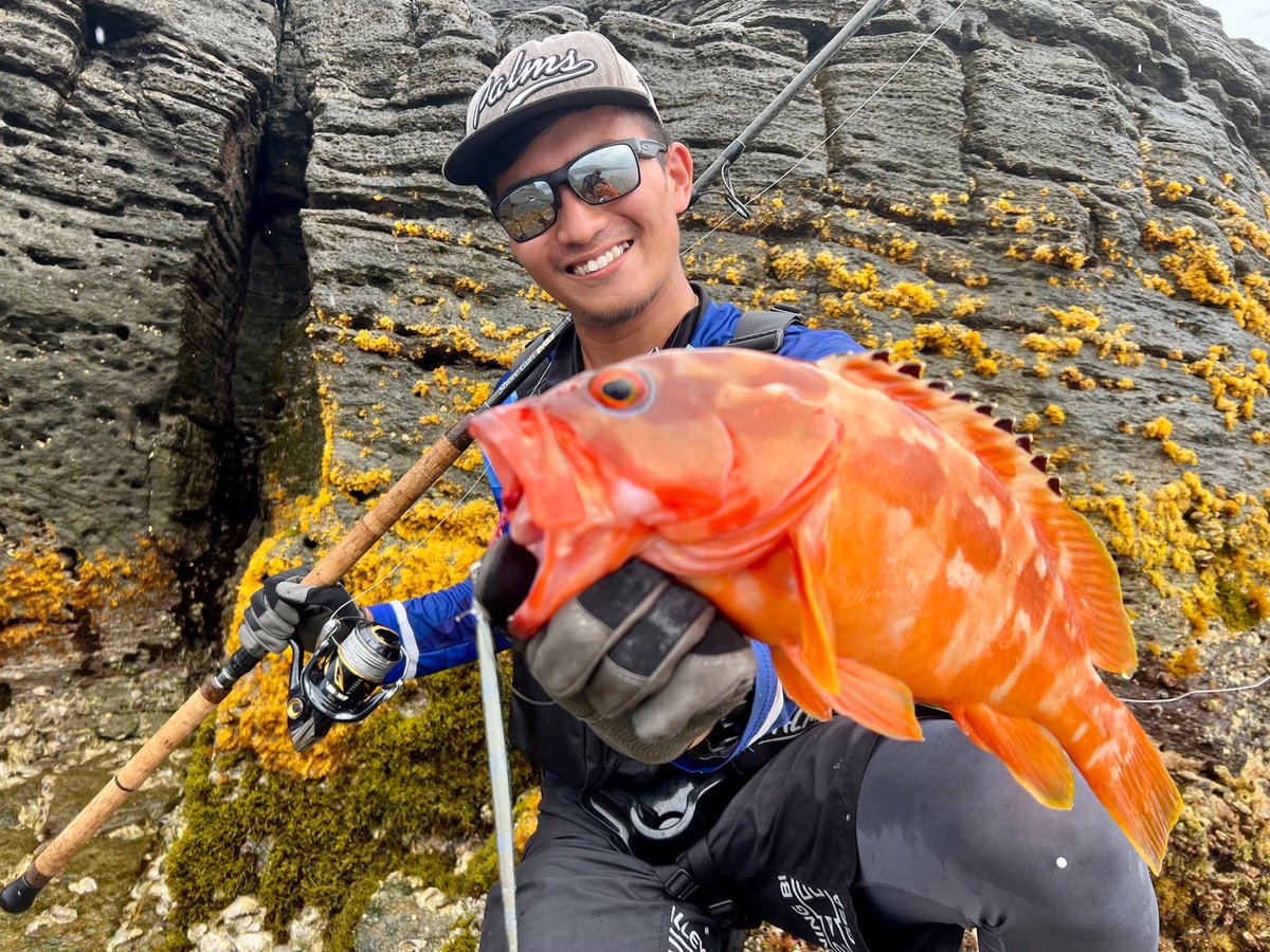 Grouper with JIGARO in Japan🇯🇵
Rod: Shore Gun EVOLV 103XXXH
Lure: JIGARO
#palms #palmsfishing #grouper #grouperfishing #grouperfish #shorejigging #shorejig #rockfishing #landbasedfishing #shorefishing #metaljig #jigaro #metaljigs #pelagic #pelagicfishing #pelagicfish @palms_japan