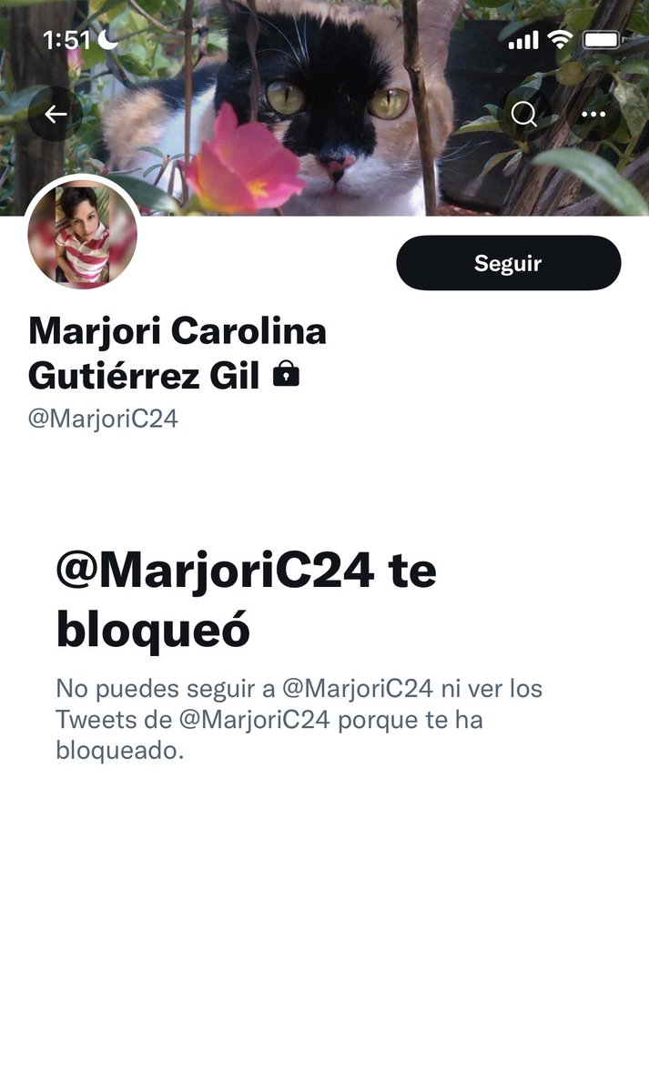 Catamg's tweet photo. Miiiii arrrmaaaaa… 🤷🏻‍♀️🤷🏻‍♀️ https://t.co/Nzken0g2dV