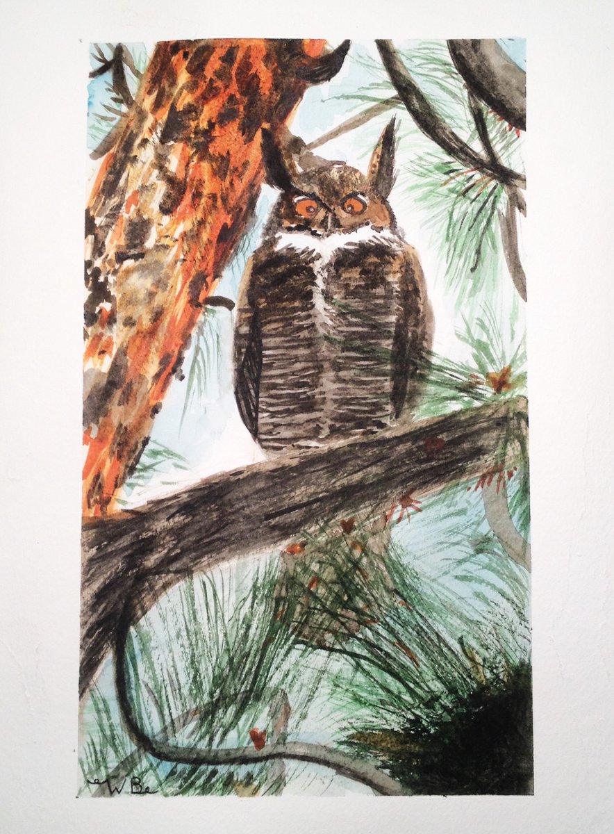 Great Horned Owl; Based on photo by Dennis and Esther Schmidt I found a wildlife photo book at the library, so I decided to paint one of the photos. #Watercolor #Nature #Owl