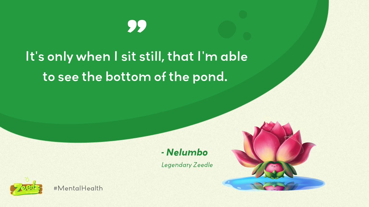 Zeedz @zeedz_official