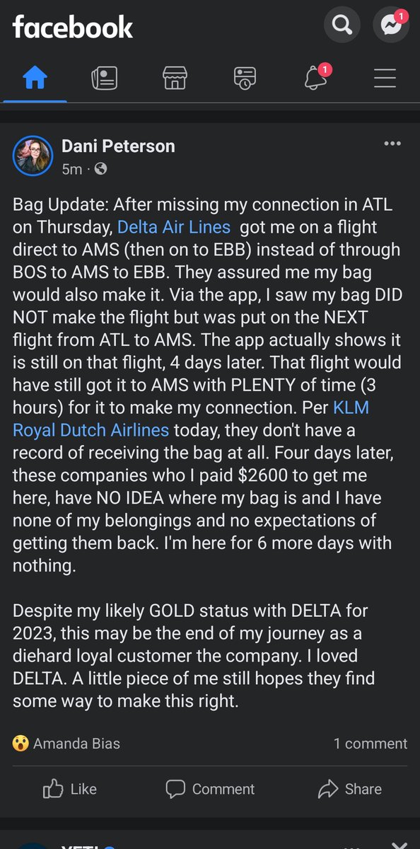 Dani(elle) Peterson tweet media