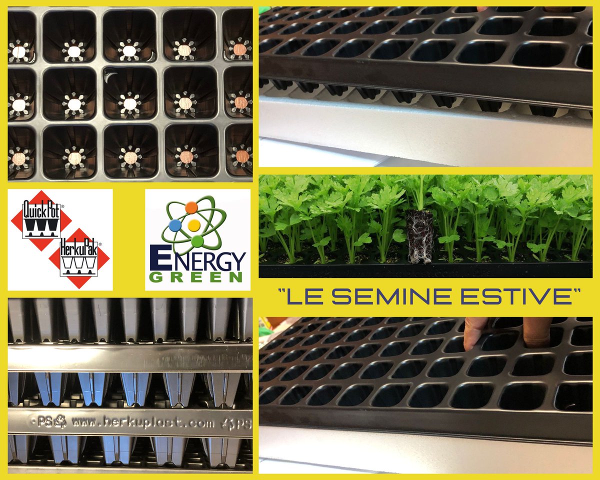 ENERGYGREEN9's tweet photo. Siamo in piena estate ed ๐ฬ ๐ข๐ฅ ๐ฆ๐จ๐ฆ๐๐ง๐ญ๐จ ๐๐ข ๐ฉ๐๐ง๐ฌ๐๐ซ๐ ๐๐ฅ๐ฅ๐ ๐ง๐ฎ๐จ๐ฏ๐ ๐ฌ๐ญ๐๐ ๐ข๐จ๐ง๐ ๐จ๐ซ๐ญ๐ข๐๐จ๐ฅ๐!
๐ https://t.co/qF9fsFWzAo
... e se Vi piacciamo, ๐ฅ๐๐ฌ๐๐ข๐๐ญ๐๐๐ข ๐ฎ๐ง ๐๐ข๐ค๐ e ๐๐จ๐ง๐๐ข๐ฏ๐ข๐๐๐ญ๐๐๐ข! ๐
#EnergyGreen #HerkuPlast #QuickPot https://t.co/MFv23R798O