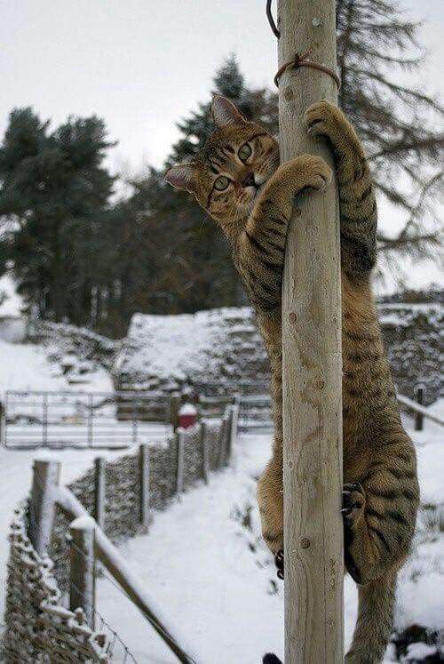 susialika5's tweet photo. *∧🎀∧* #goodmorning
⁽(˶> ᎑ <˶) ⁾⁾* #twitterfriends
*〇☕〇* #BacktoMonday
Have a good day
"Don't forget to smile and be grateful "
__________________________🌻😻🌹
~°Happy New Week °~
Stay blessed always 🌸
https://t.co/lZKDatYT1d https://t.co/bCc5tEhF9L