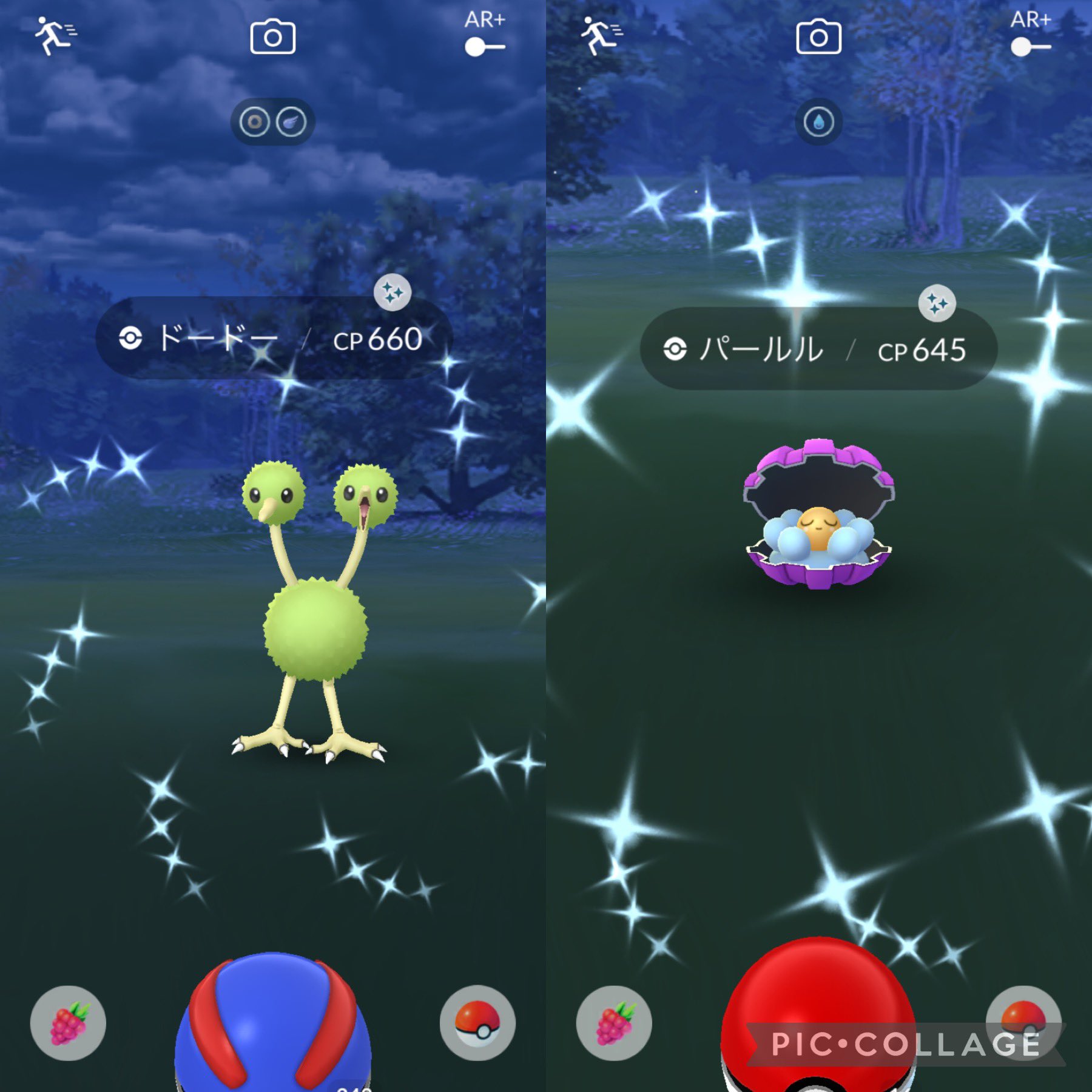 Ayuyu ポケモンgo Ko Pokego Oo パールルさん 色違い可愛いですね いつか来てくれるといいですね ありがとうございます 夜勤頑張ってきまーす Twitter
