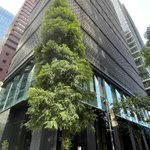 ツイートに含まれる画像