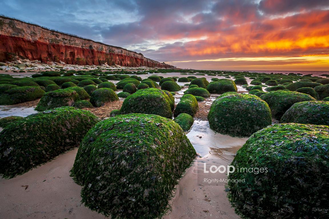 LoopImages (@loopimages) on Twitter photo Hunstanton beach at sunset <a href="/BillAllsopp/">BillAllsopp</a> #hunstanton #norfolk #sunnyhunny #beach #coast #cliffs #boulders #geology #strata #chalk #evening #formation #totternhoestone #landscape #green #fiery #sunset #sunsetphotography Hunstanton beach at sunset <a href="/BillAllsopp/">BillAllsopp</a> #hunstanton #norfolk #sunnyhunny #beach #coast #cliffs #boulders #geology #strata #chalk #evening #formation #totternhoestone #landscape #green #fiery #sunset #sunsetphotography