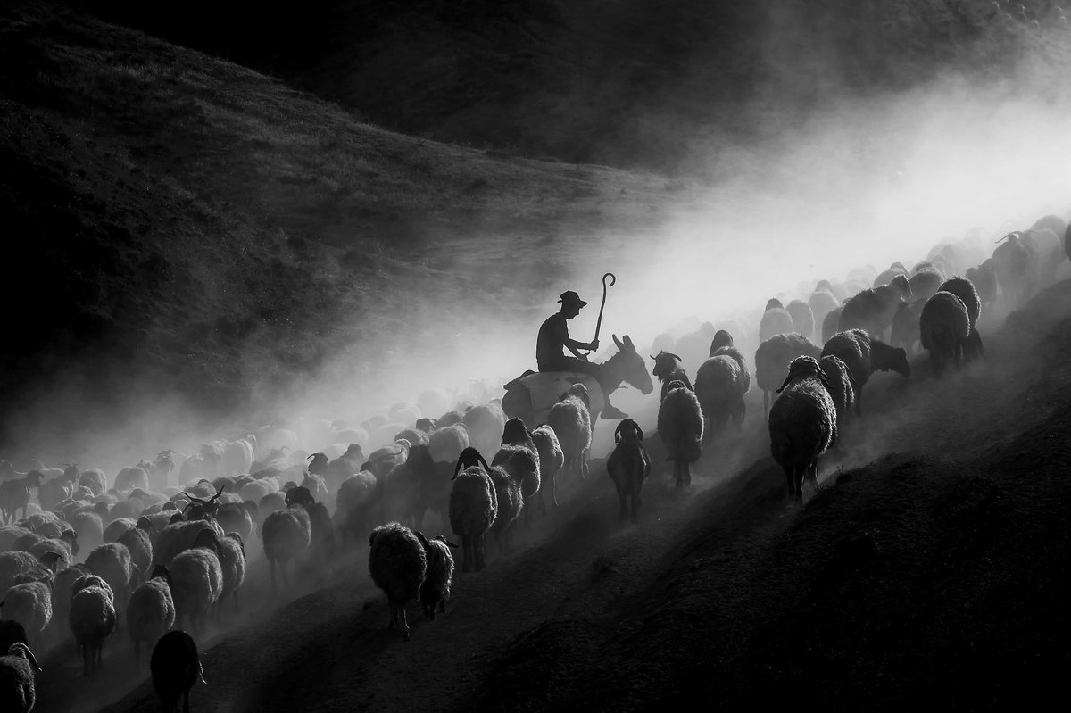 Futura_Noir's tweet photo. Dusty Ride ~ 𝘎𝘶𝘭𝘢𝘺 𝘛𝘢𝘯𝘴𝘶 https://t.co/ABfa6fp6bu