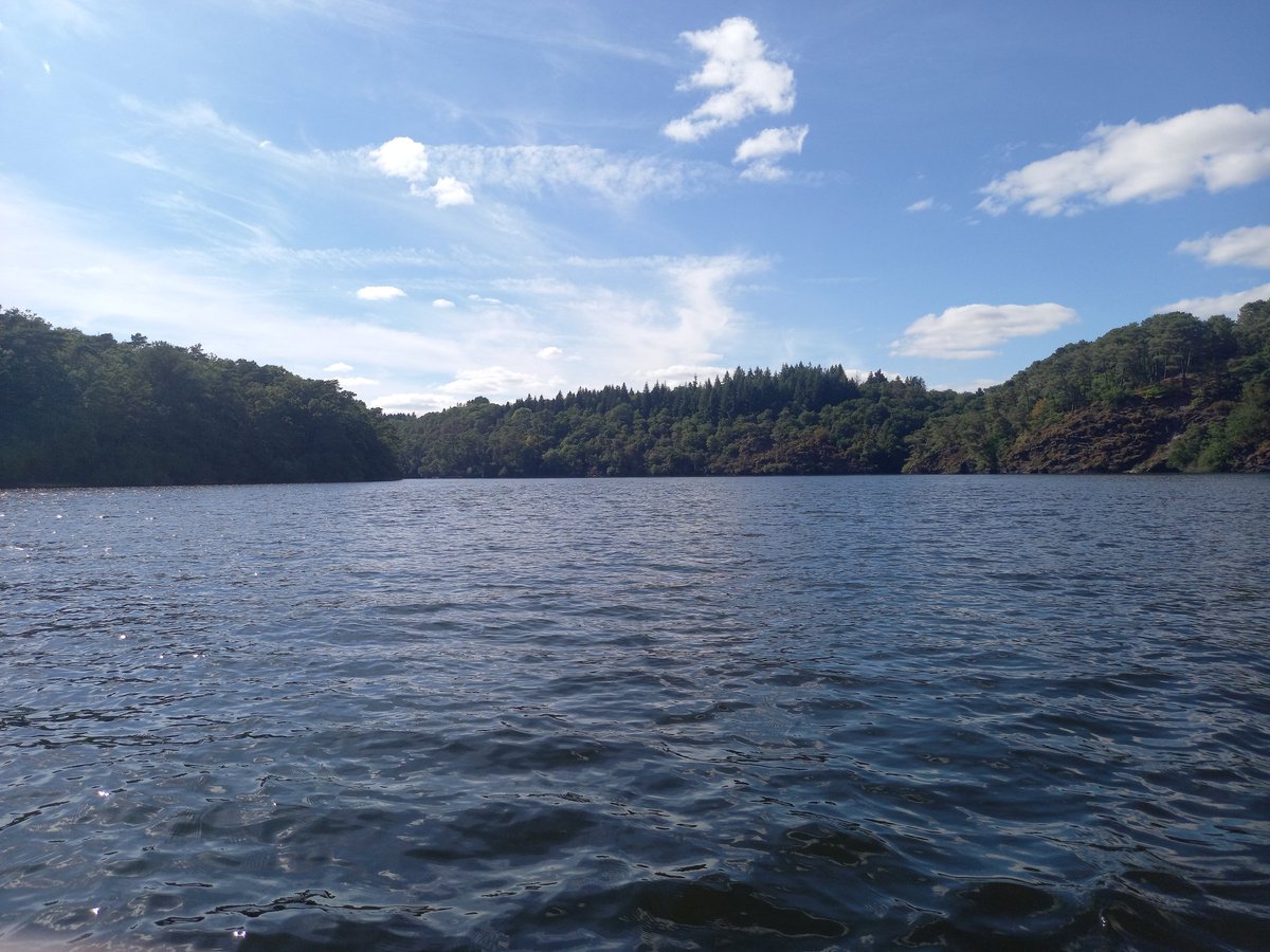 Gffodorria tweet media