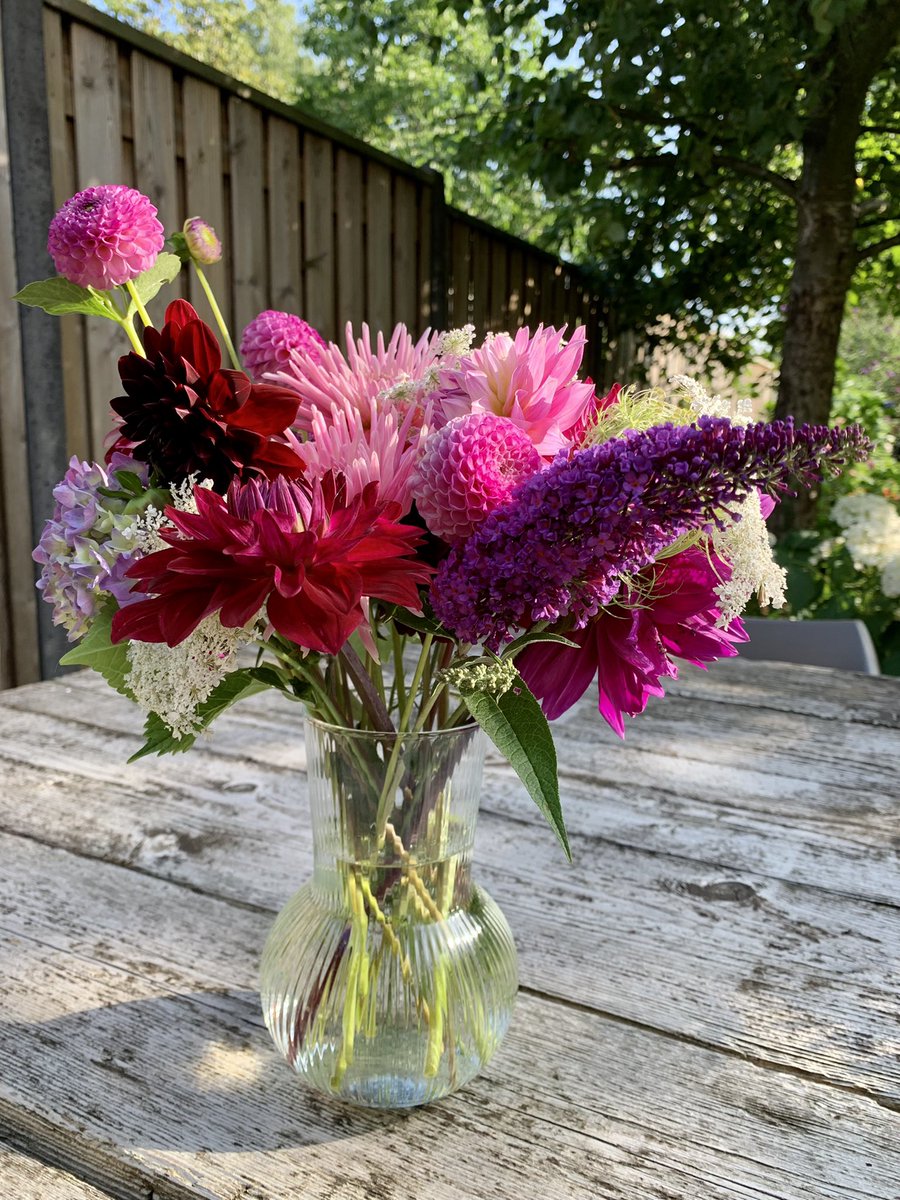 #pluktuin #idahlia Ik kan hier zo van genieten, bloemen uit mijn eigen pluktuin, die kleuren!