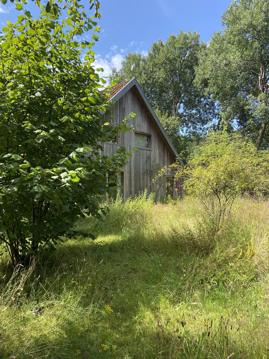 Johan de Groot tweet media