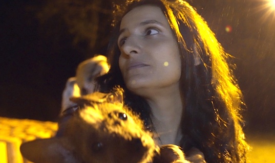 OtrosCinesE's tweet photo. #CríticaEstreno (en la plataforma @mubi) de #TerminalNorte, cortometraje documental sobre la cantante Julieta Laso en el que Lucrecia Martel medita sobre la lucha por la diversidad y el empoderamiento femenino. Un texto de @dmbatlle.
⬇️⬇️📽️🎶🎞️⬇️⬇️
https://t.co/O1ZRj5qPSB https://t.co/H78zvCZZft