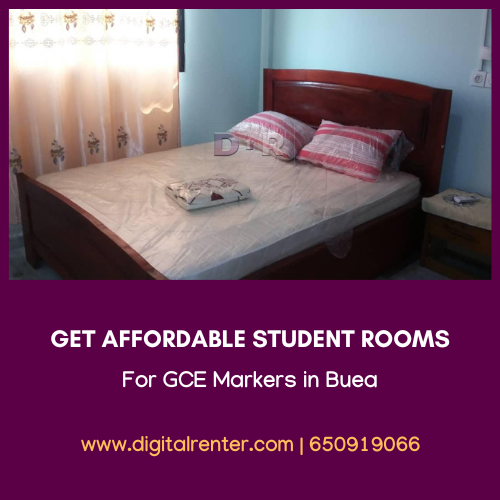 3ch310n's tweet photo. Are you a GCE Marker looking for accommodation in Buea? 

https://t.co/bAsKpqJXRk 

Find affordable student rooms for rent on Digital Renter

#RentMyRoom #GCEMarkers #SharedEconomy #DigitalRenter #airbnb #Cameroon https://t.co/xglkYGhKnE