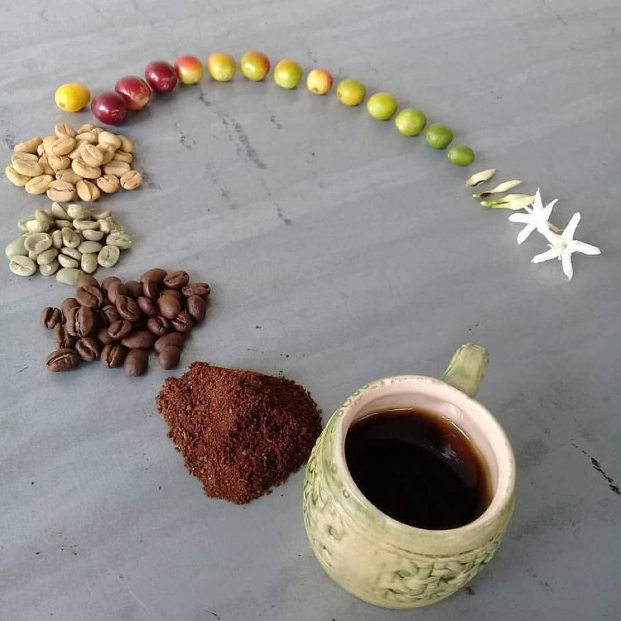 Journey of coffee from #flowering to consumption.