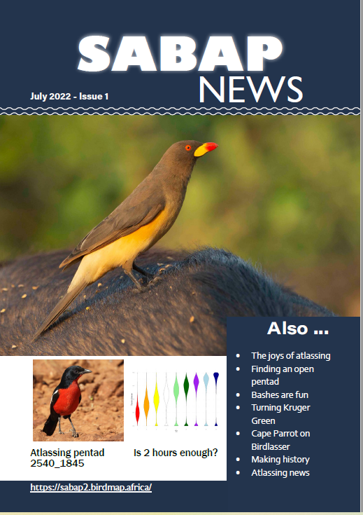 SA_birdatlas's tweet photo. So excited to share our #SABAP newsletter with you!
Check it out "SABAP Newsletter Issue 1 July 2022" https://t.co/Lz9XyudGni https://t.co/UW5PSneC8f